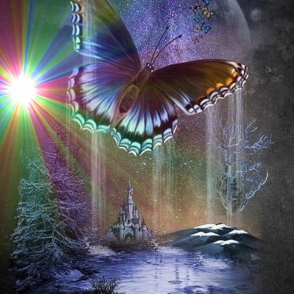 Meet your Posher, Bibis - Picture 1 of 1